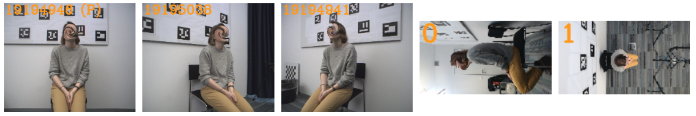 Bilder von den 5 Kameraperspektiven 